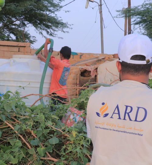 457835900_494547716668224_5045473158237961851_n