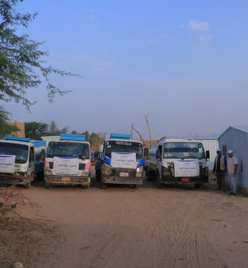 457841240_494547373334925_4731684629842137028_n